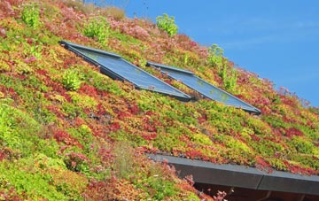 Heath Side living roof systems