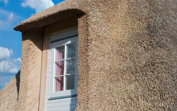 Heath Side thatch roof disadvantages
